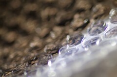 プチプチのせかい-2