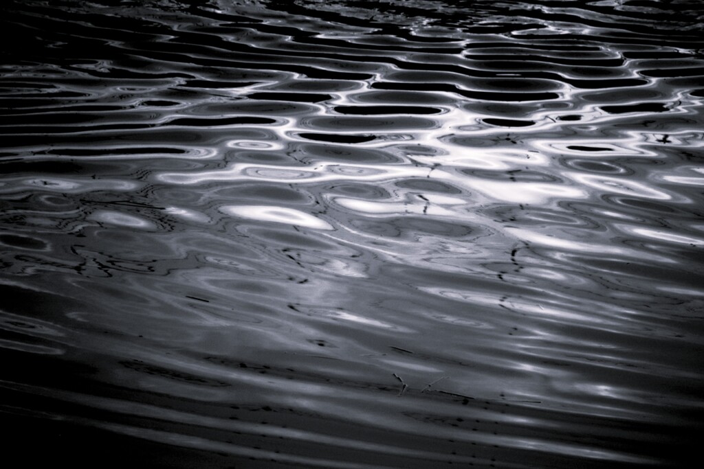 川面の揺らぎ monotone