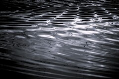 川面の揺らぎ monotone