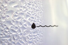 すいてきのせかい-192 すいてきのせかい-192