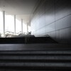 Light and shadow-792