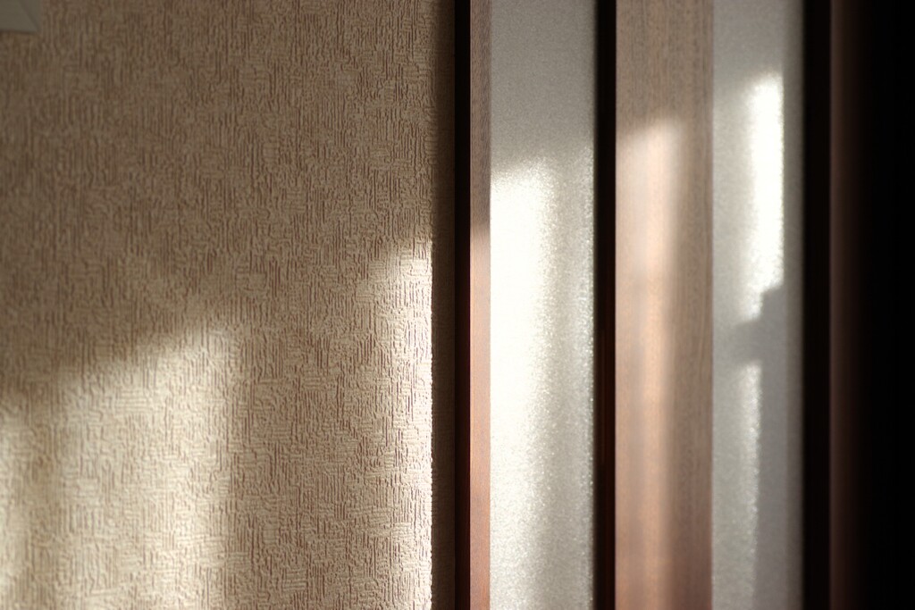 Light and shadow-840