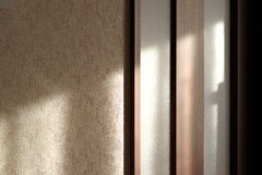 Light and shadow-840