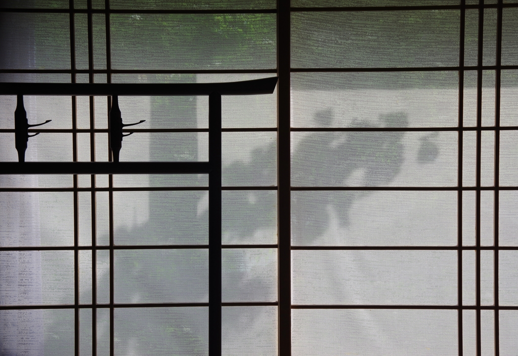 Light and shadow-645