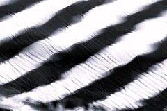 black and white