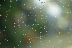 雨の滴-1