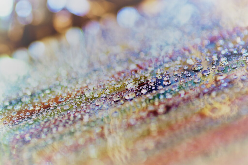 すいてきのせかい-90