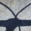 Light and shadow-690