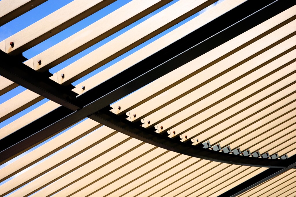 Light and shadow-811