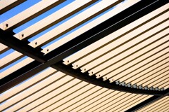 Light and shadow-811