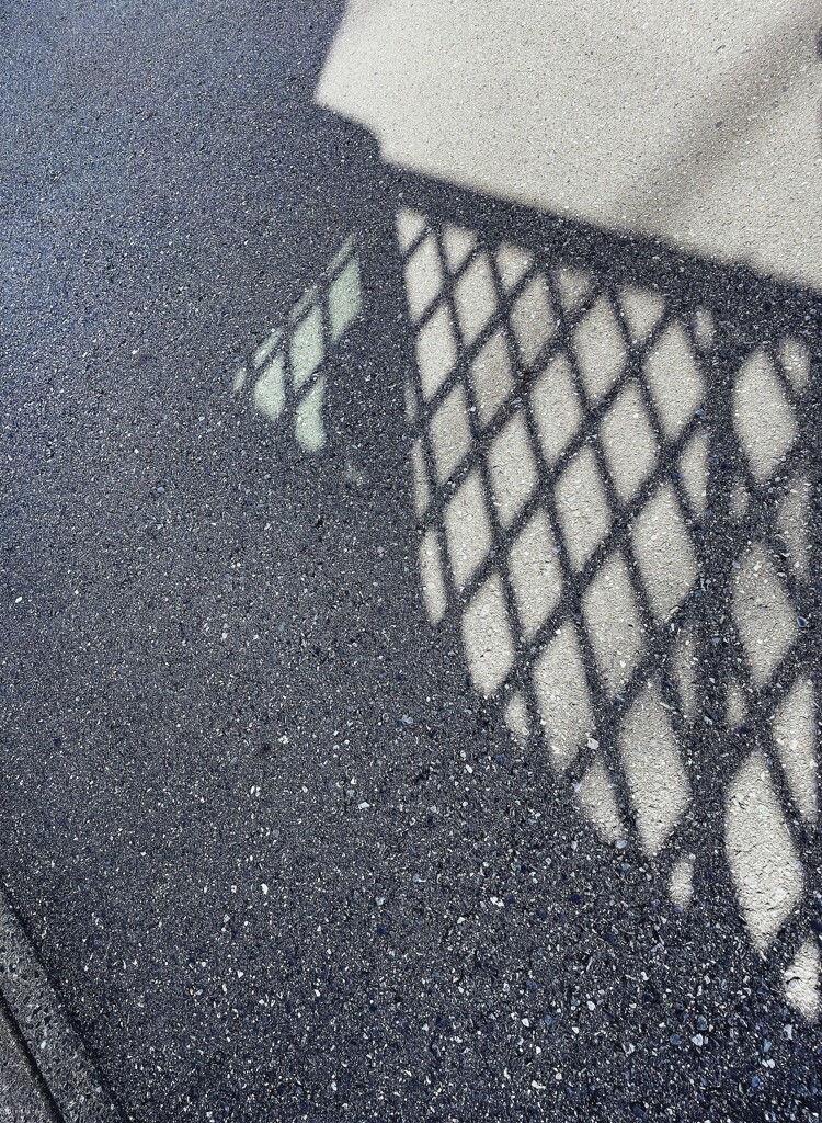 Light and shadow-657