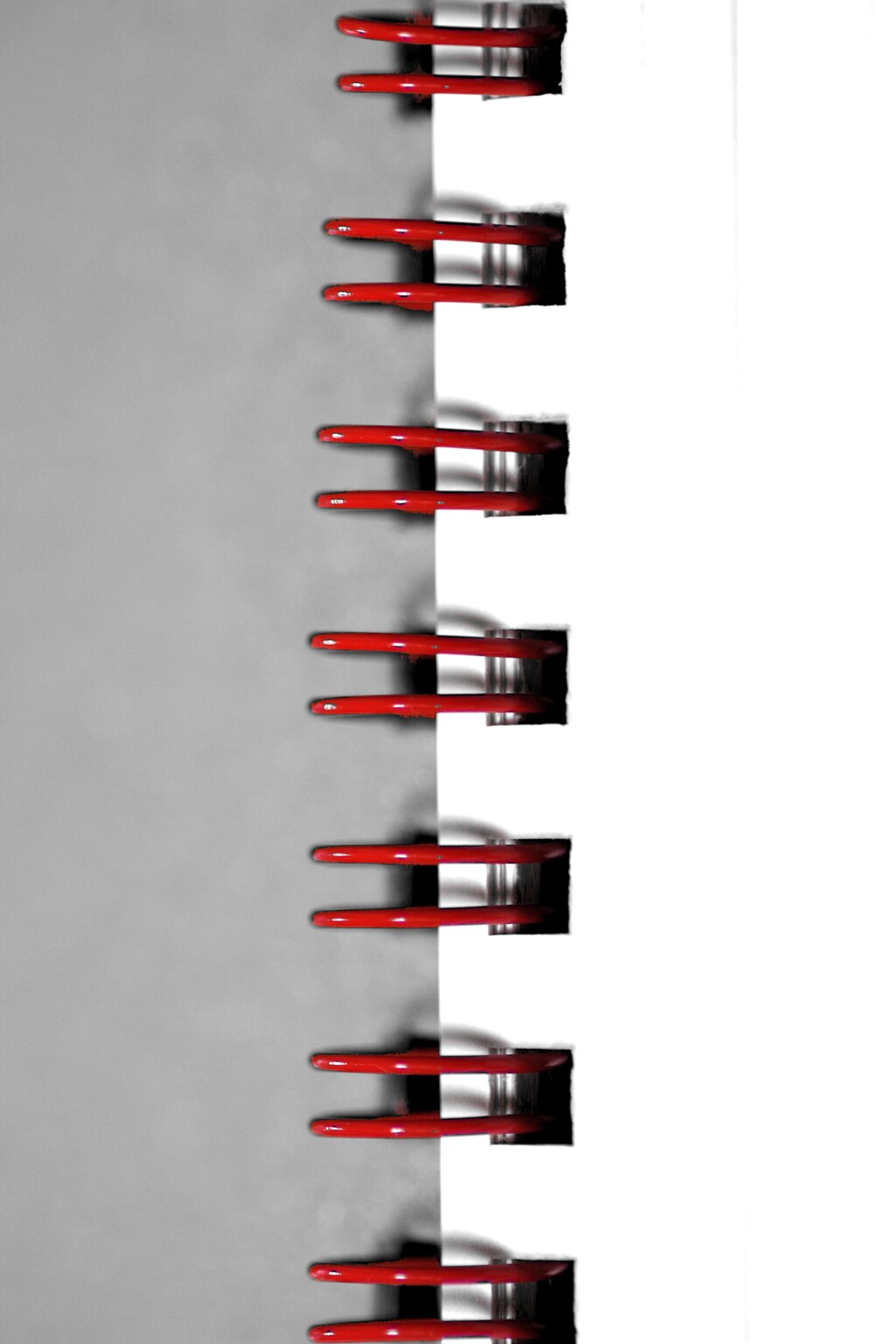 ring-13
