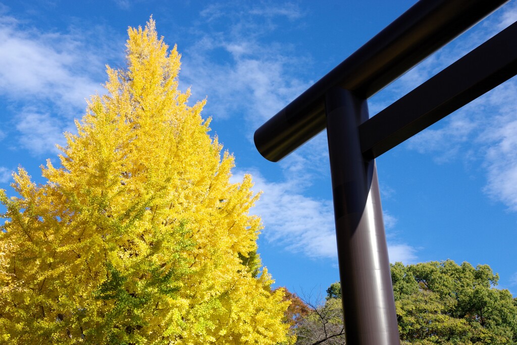 神社の黄