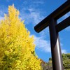 神社の黄