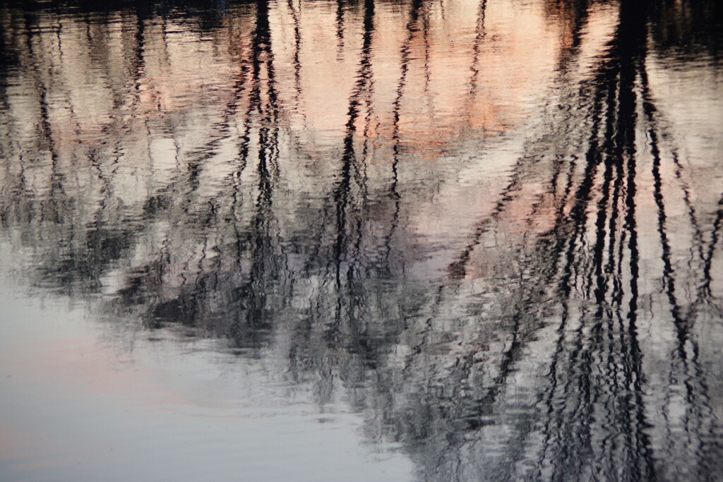 Reflection-360