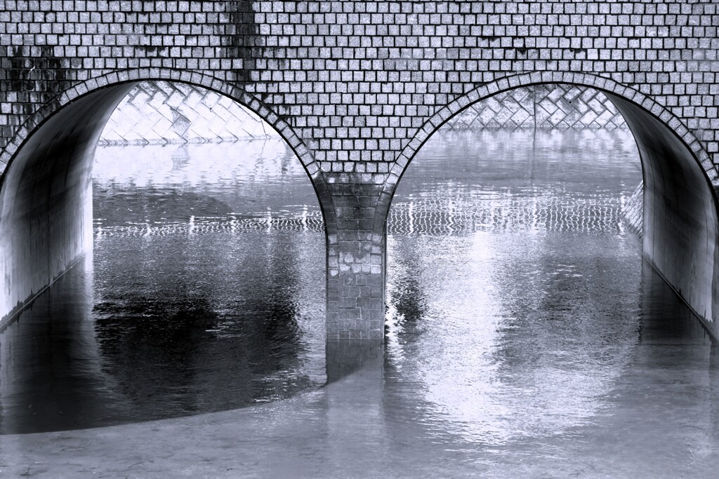 Reflection-541