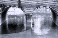 Reflection-541