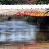 Reflection-490