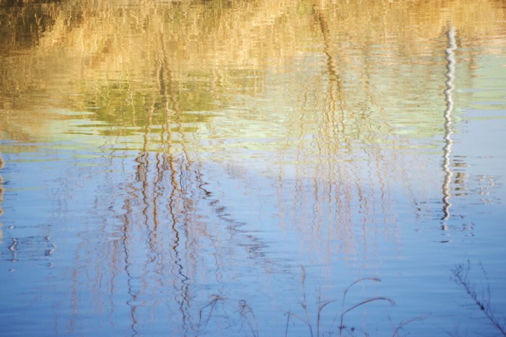 Reflection-531