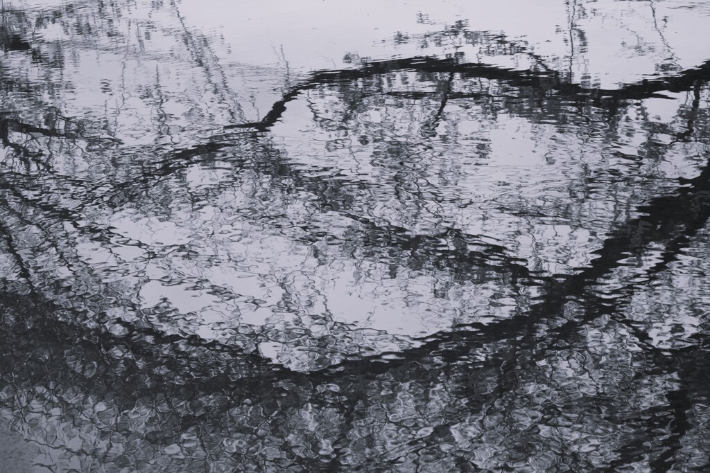 Reflection-542