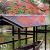 庭園の紅葉-3