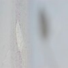 Light and shadow-505