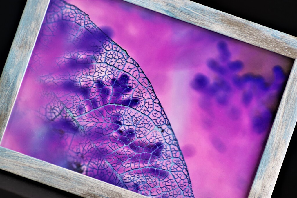 フォトフレームに入れてみた-11