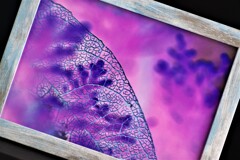 フォトフレームに入れてみた-11