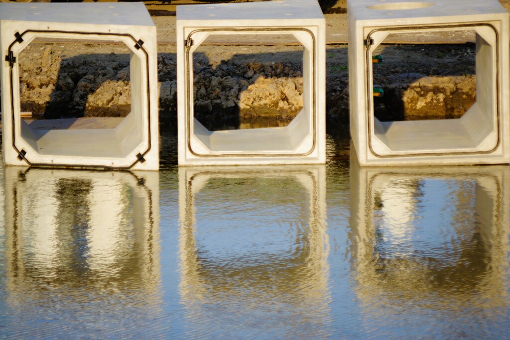 Reflection-388