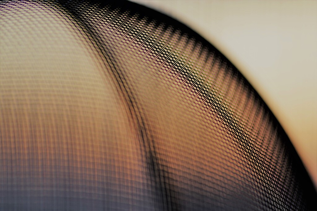 Light and shadow-469