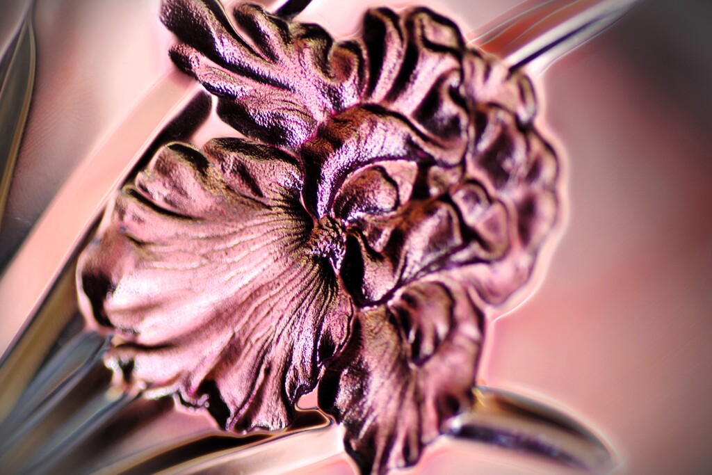 flower-6