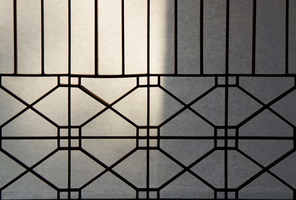 Light and shadow-630