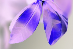 Light and shadow-908 reverse
