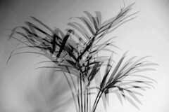 overlap effect-37