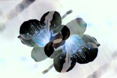 plum blossom art-1 overlap effect