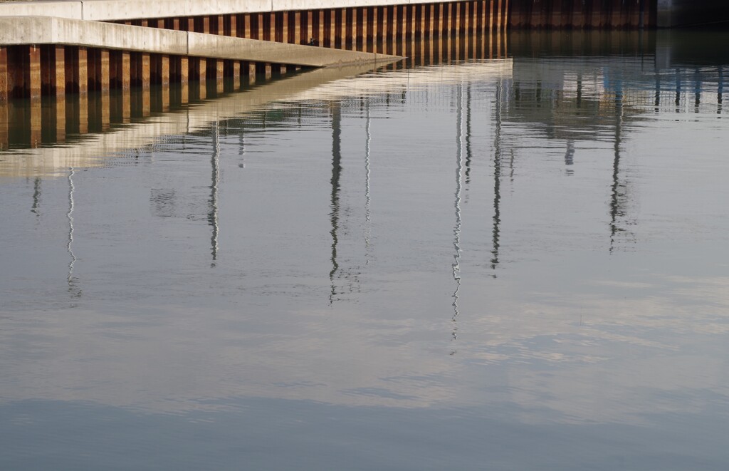 Reflection-59
