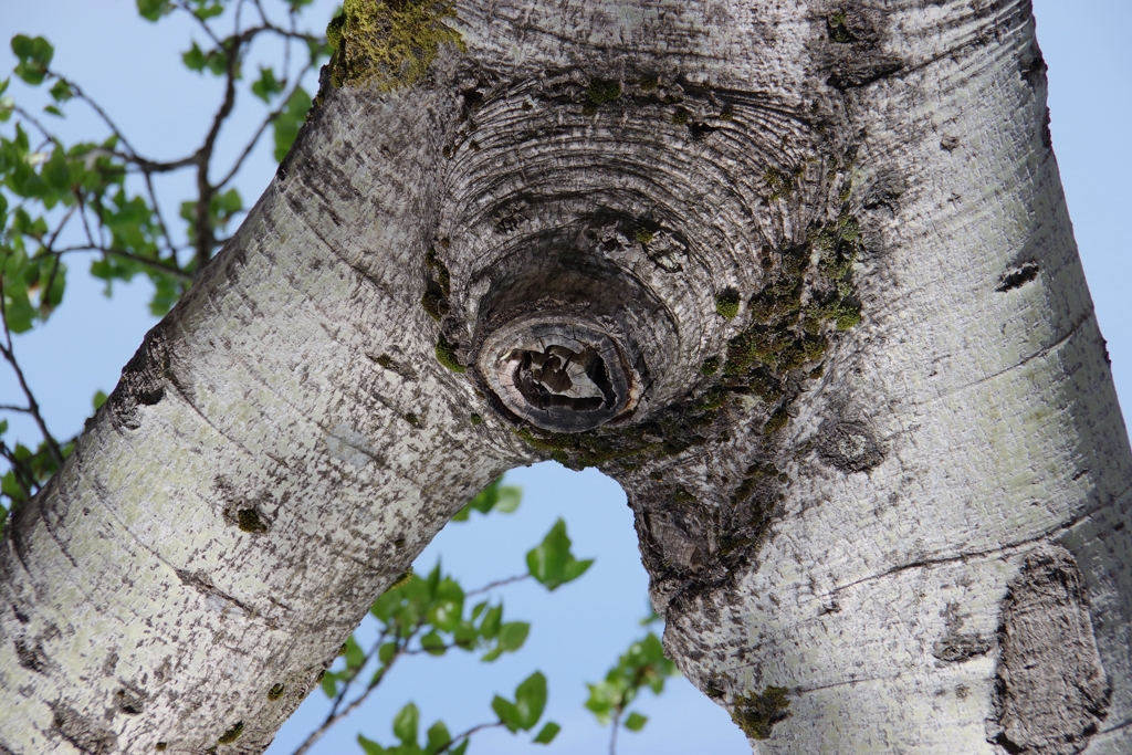 何に見える？-3