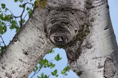 何に見える？-3