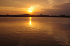 池面に映える夕陽