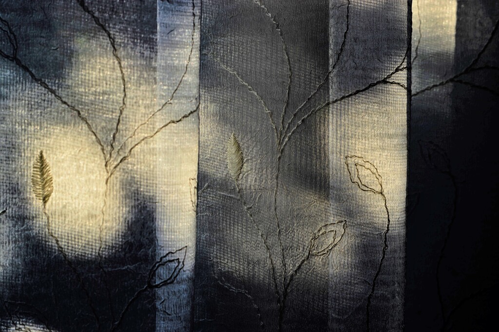 Light and shadow-438