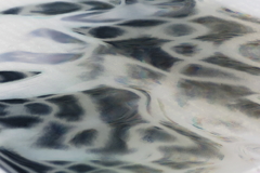 Reflection-566 reverse