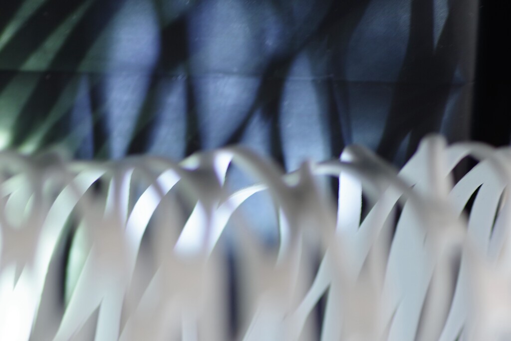 Light and shadow-539