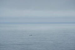 曇天の海に浮かぶ小舟