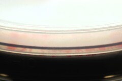 loop-7
