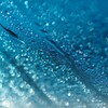 すいてきのせかい-53
