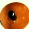 eye-8