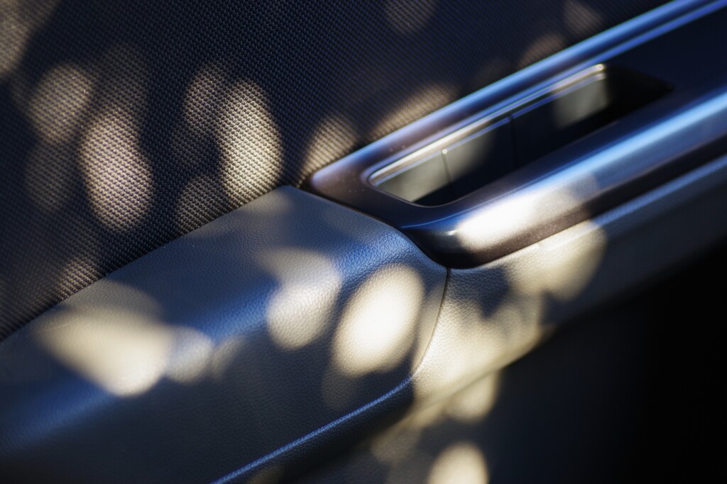 Light and shadow-910