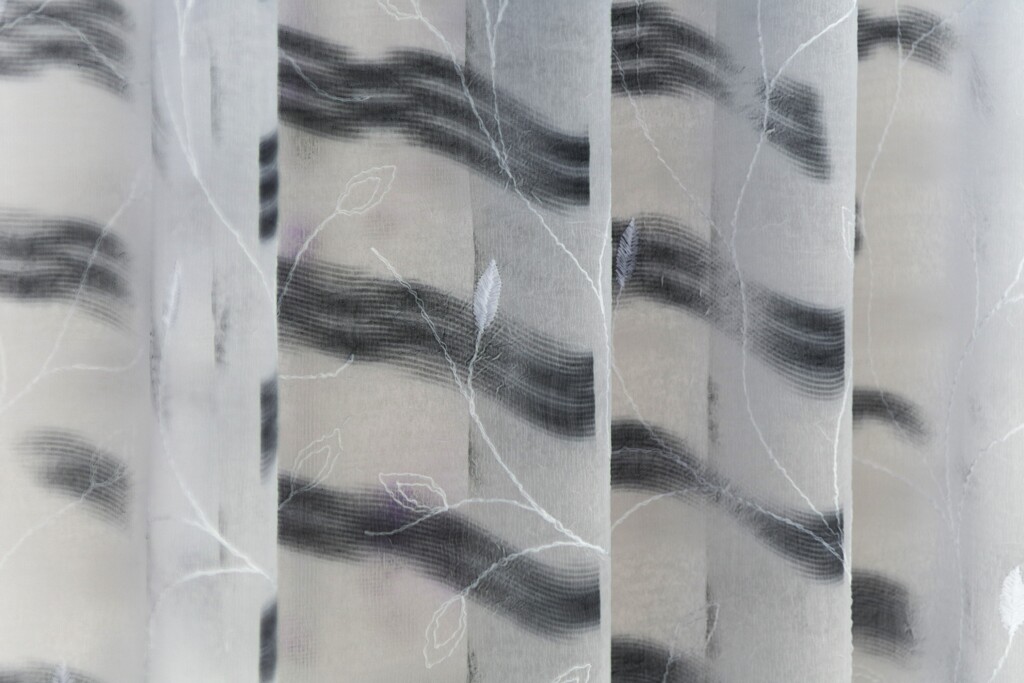 Light and shadow-739