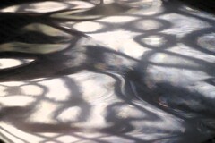 Reflection-566