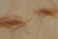 生節のせかい